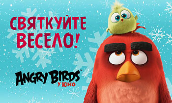 Angry Birds   !